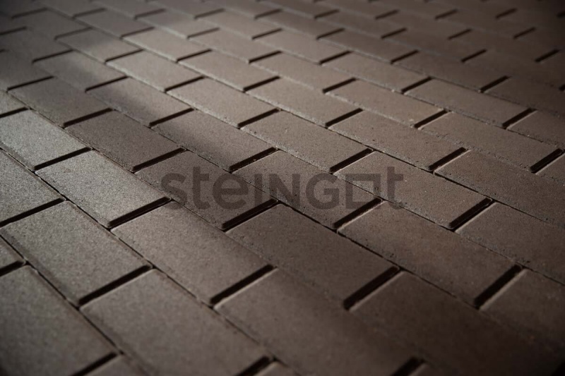 Тротуарная плитка Прямоугольник 200*100*60 Темно-коричневый (верхний прокрас)